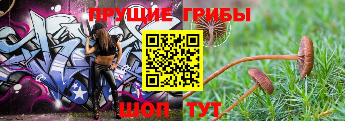 Галлюциногенные грибы мухоморы  Вход с VPN  Каменск-Шахтинский 